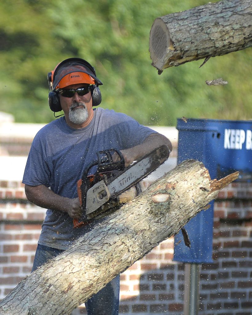2023 Arborist CEU Sessions